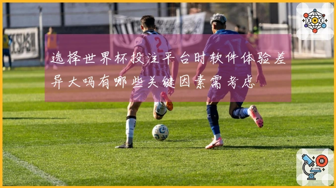 选择世界杯投注平台时软件体验差异大吗有哪些关键因素需考虑