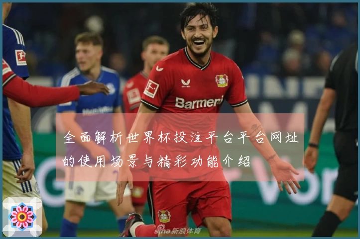 全面解析世界杯投注平台平台网址的使用场景与精彩功能介绍