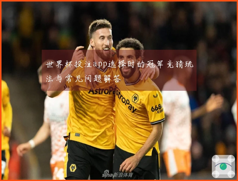 世界杯投注app选择时的冠军竞猜玩法与常见问题解答