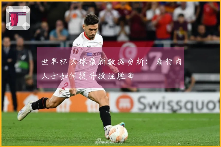 世界杯买球最新数据分析：看行内人士如何提升投注胜率