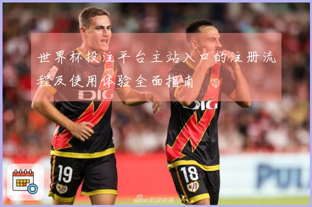 世界杯投注平台主站入口的注册流程及使用体验全面指南