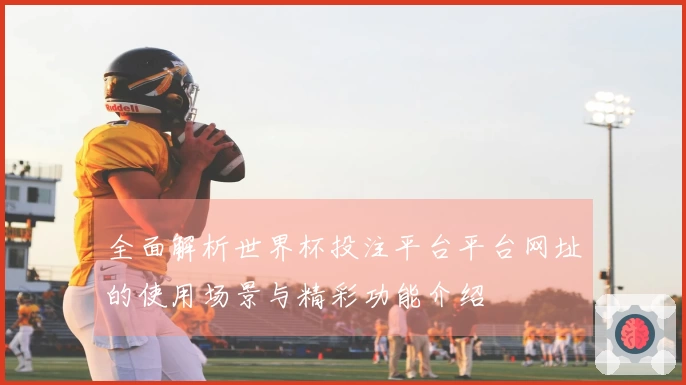全面解析世界杯投注平台平台网址的使用场景与精彩功能介绍