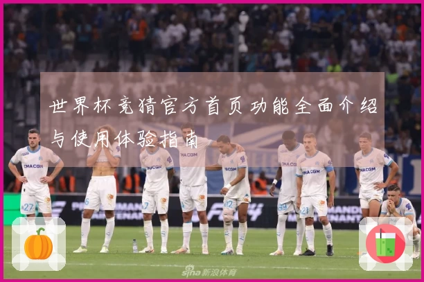 世界杯竞猜官方首页功能全面介绍与使用体验指南