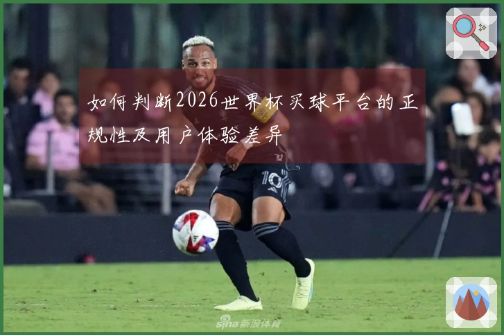 如何判断2026世界杯买球平台的正规性及用户体验差异