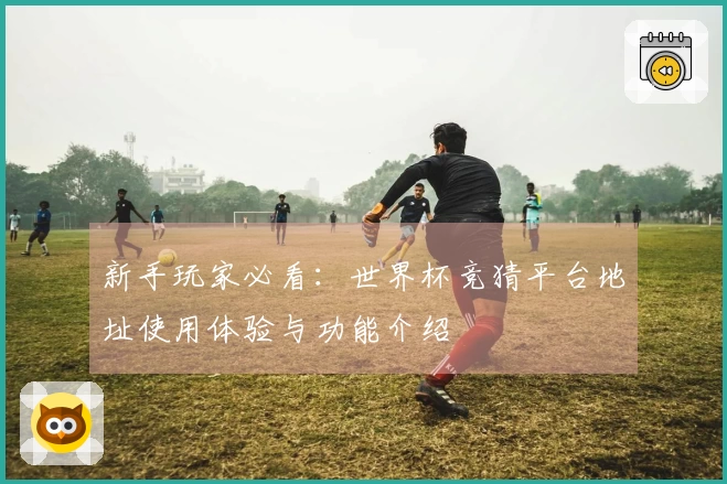 新手玩家必看：世界杯竞猜平台地址使用体验与功能介绍