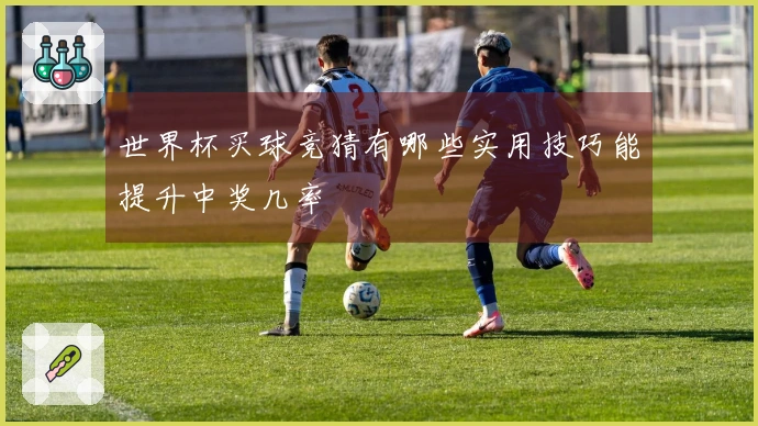 世界杯买球竞猜有哪些实用技巧能提升中奖几率