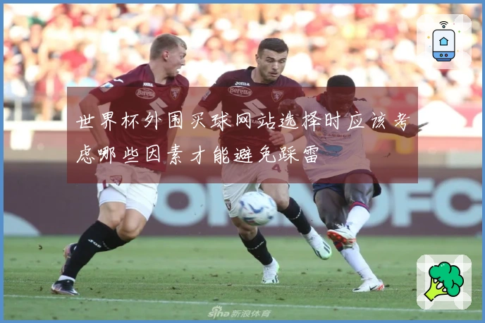 世界杯外围买球网站选择时应该考虑哪些因素才能避免踩雷