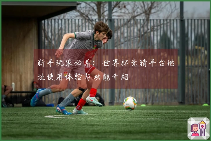 新手玩家必看：世界杯竞猜平台地址使用体验与功能介绍
