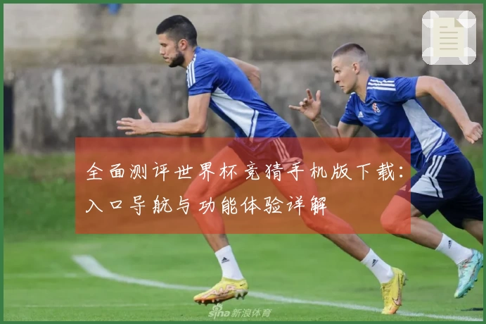 全面测评世界杯竞猜手机版下载：入口导航与功能体验详解