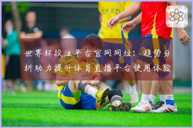 世界杯投注平台官网网址：趋势分析助力提升体育直播平台使用体验